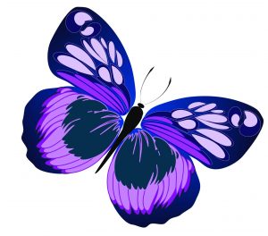 blue-and-purple-butterfly-clipart-1.jpg